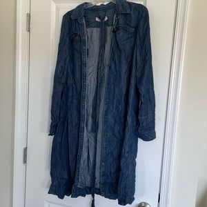 Loft Jean Fall Dress